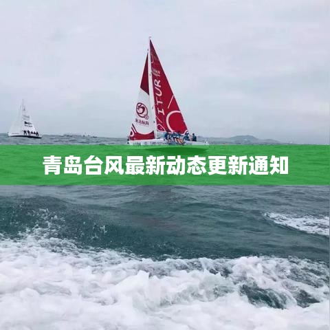 漫天飞舞