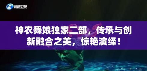 映月读书