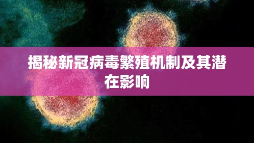 风流倜傥