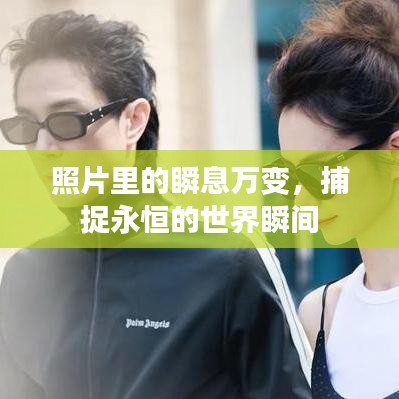 洵属可贵