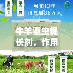 全始全终