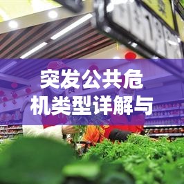 突发公共危机类型详解与应对策略之道