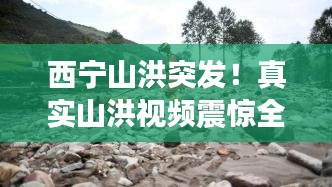 见贤思齐