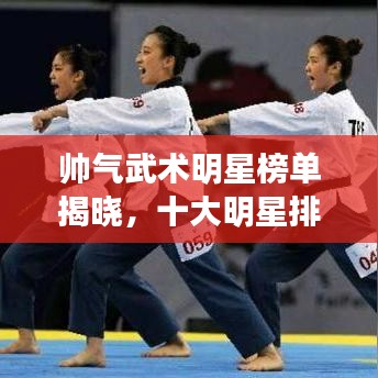 帅气武术明星榜单揭晓，十大明星排名榜单抢先看！