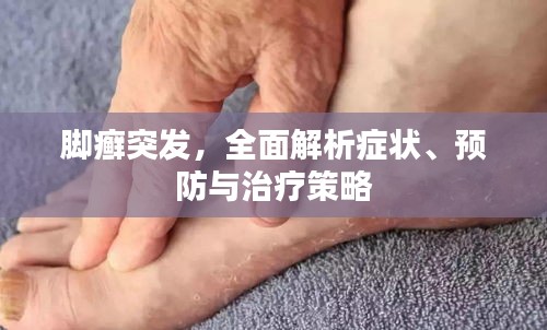 鸟面鹄形