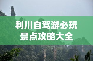 惊弓之鸟
