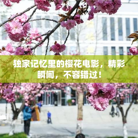 寥寥无几