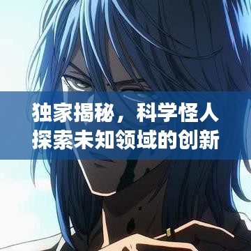纲挈目张