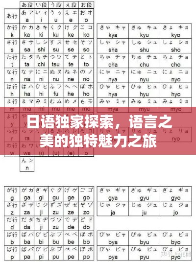 眼张失道