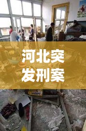 河北突发刑案事件引发社会震动