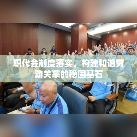 职代会制度落实，构建和谐劳动关系的稳固基石