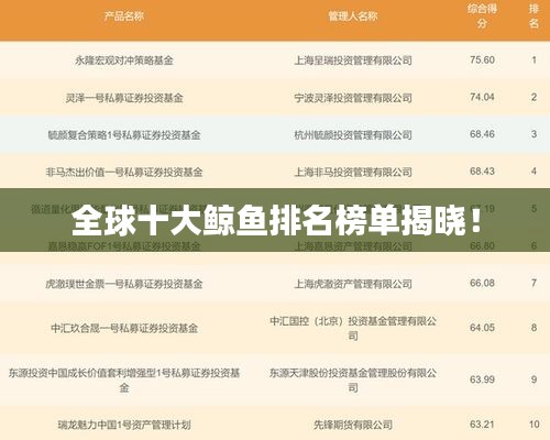 全球十大鲸鱼排名榜单揭晓！