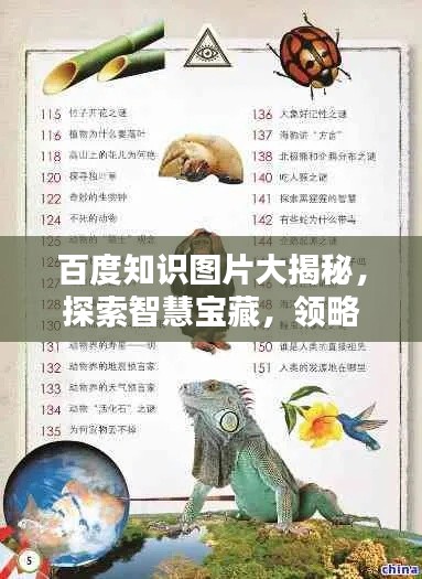 百度知识图片大揭秘，探索智慧宝藏，领略百科知识的海洋