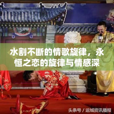 水割不断的情歌旋律，永恒之恋的旋律与情感深度解析