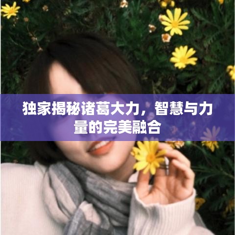 独家揭秘诸葛大力，智慧与力量的完美融合