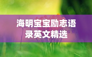海明宝宝励志语录英文精选