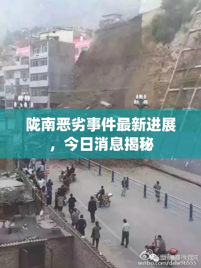 陇南恶劣事件最新进展，今日消息揭秘