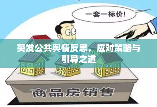 突发公共舆情反思，应对策略与引导之道