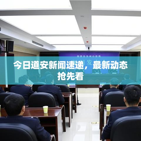 今日道安新闻速递，最新动态抢先看