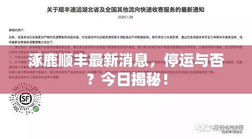 涿鹿顺丰最新消息，停运与否？今日揭秘！
