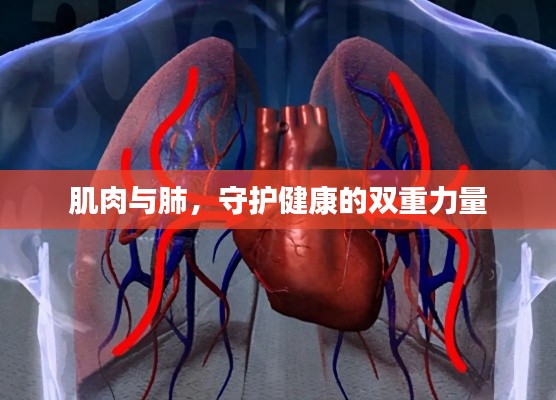 肌肉与肺，守护健康的双重力量