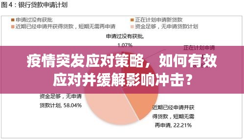 疫情突发应对策略，如何有效应对并缓解影响冲击？