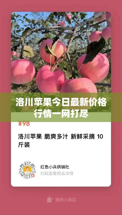 洛川苹果今日最新价格行情一网打尽