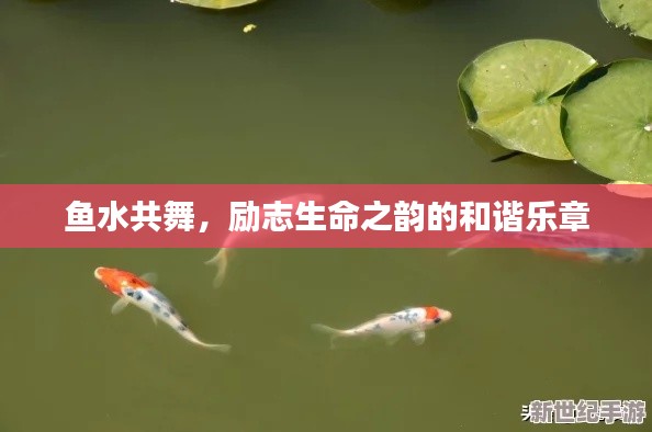 鱼水共舞，励志生命之韵的和谐乐章