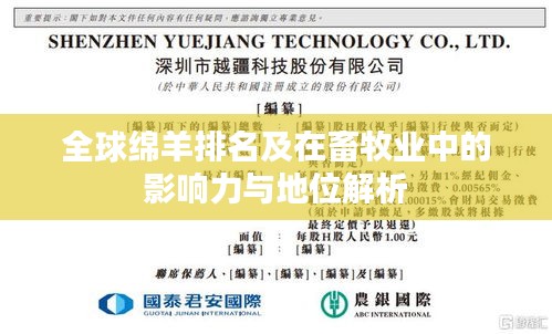 全球绵羊排名及在畜牧业中的影响力与地位解析