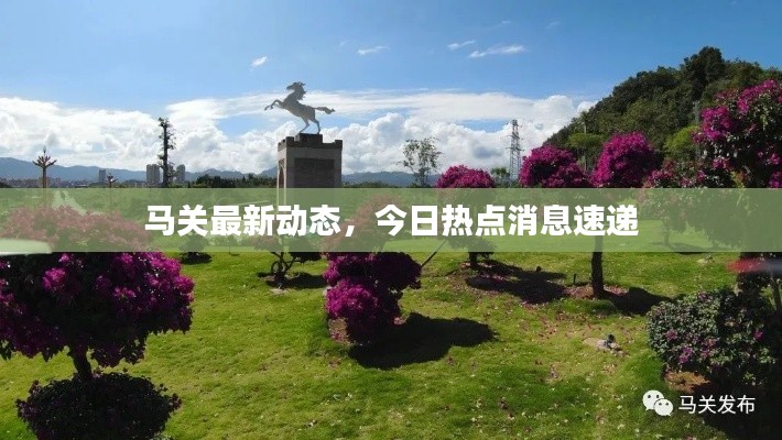 文贵天成