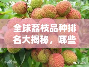 黑天摸地
