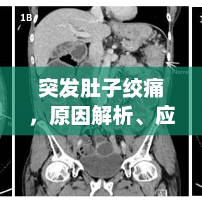 物离乡贵